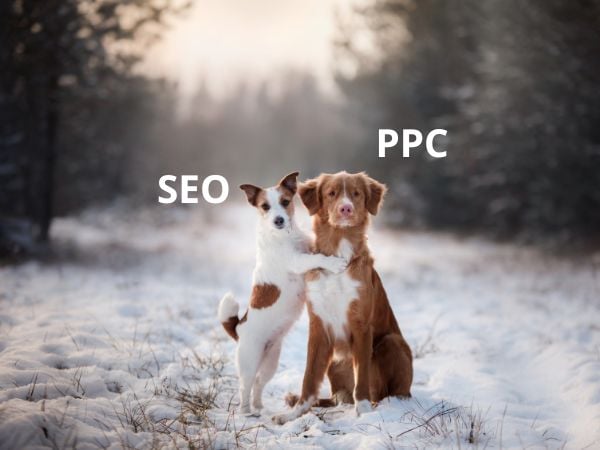 seo and google ads are complimentary